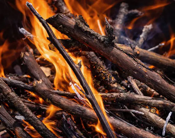 Zákaz pálení větví: Jak legálně nakládat se zahradním odpadem po novele zákona